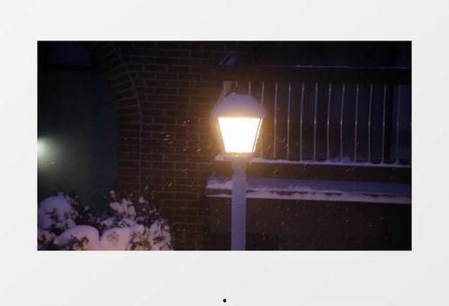 最新爆料暴雪视频播放下载,视频播放下载功能即将上线，玩家狂欢时刻来临！