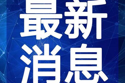 菏泽酒店爆料视频大全最新,揭秘酒店行业背后的真相